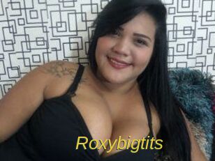 Roxybigtits Archive DVD ORG