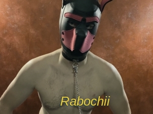 Rabochii