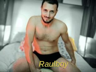Raulboy