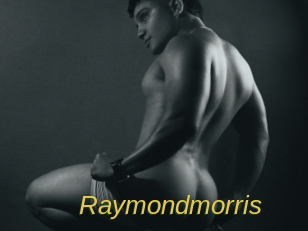 raymondmorris Archive DVD ORG