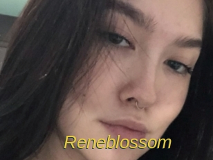 Reneblossom