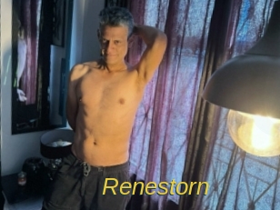 Renestorn