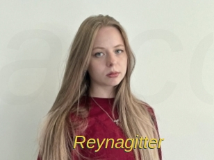 Reynagitter
