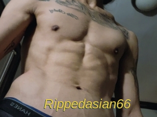 Rippedasian66