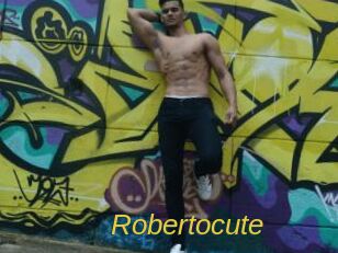 robertocute Archive DVD ORG