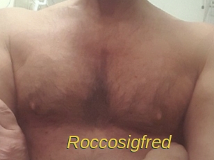 Roccosigfred