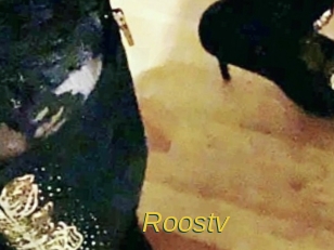 roostv Archive DVD ORG