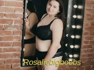 Rosaliebigboobs