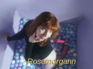 rosamorgann Archive DVD ORG