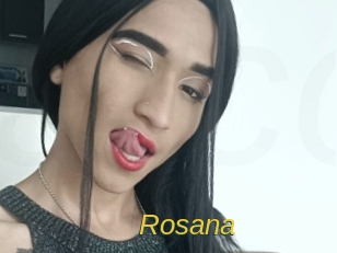 rosana Archive DVD ORG