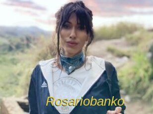 rosariobanko Archive DVD ORG