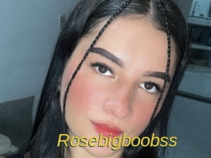 Rosebigboobss