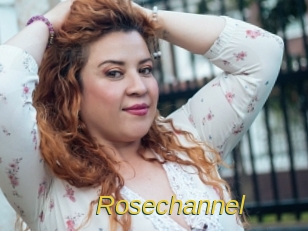 rosechannel Archive DVD ORG