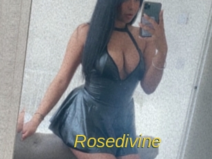 rosedivine Archive DVD ORG