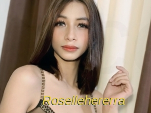 rosellehererra Archive DVD ORG