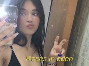 Roses_in_eden