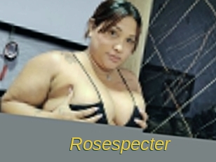 rosespecter Archive DVD ORG
