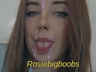 rosiebigboobs Archive DVD ORG