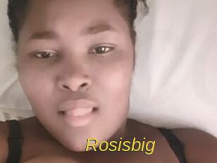 Rosisbig