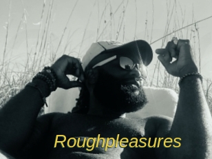 Roughpleasures