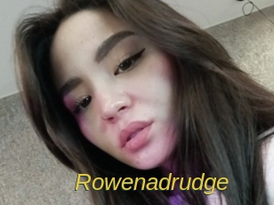 rowenadrudge Archive DVD ORG