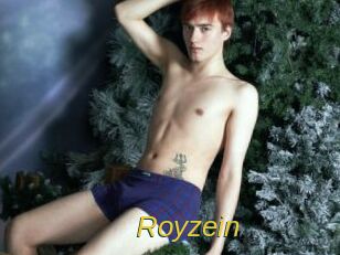 Royzein