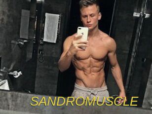 SANDRO_MUSCLE