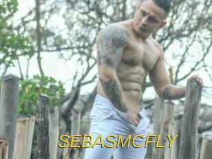 SEBASMCFLY