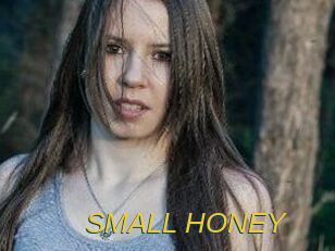 SMALL_HONEY