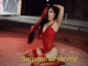 SamanthaHarvey Archive DVD ORG
