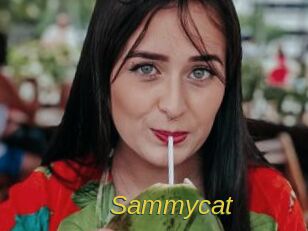Sammycat
