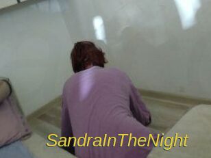SandraInTheNight