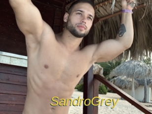 SandroGrey Archive DVD ORG