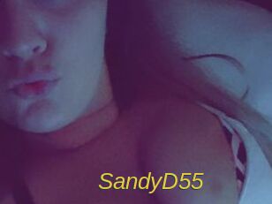 SandyD55