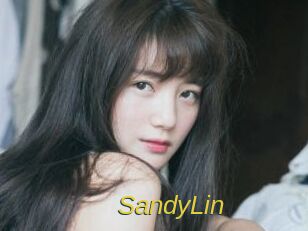 SandyLin Archive DVD ORG