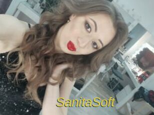SanitaSoft Archive DVD ORG