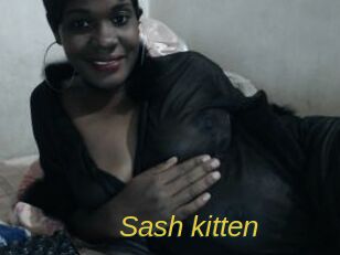 Sash_kitten