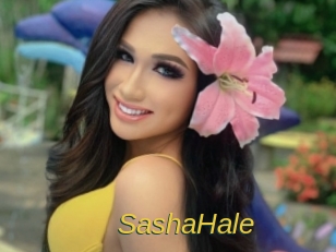 SashaHale Archive DVD ORG