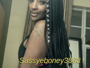 Sassyeboney3838 Archive DVD ORG