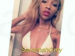 Savannah_Grey