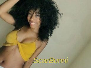 ScarBunni