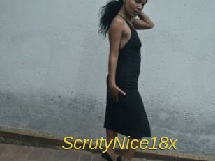 ScrutyNice18x