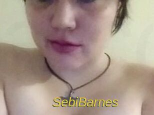 Sebi_Barnes