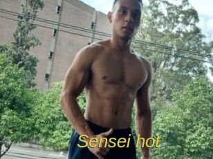 Sensei_hot