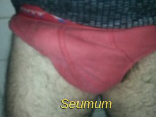 Seumum