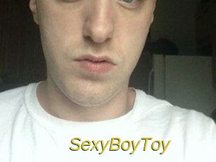 SexyBoyToy