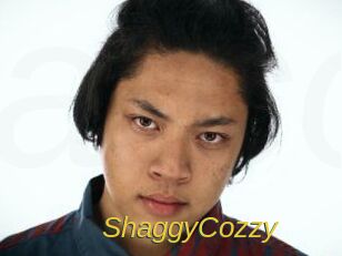 ShaggyCozzy