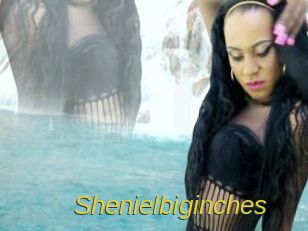 Shenielbiginches