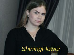ShiningFlower