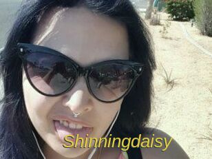 Shinningdaisy